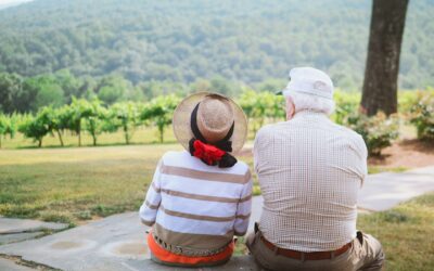 an older couple with backs to camera looking over a green valley