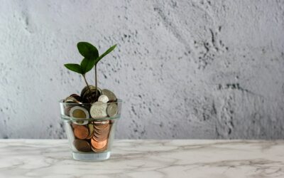 A plant growing out of a glass money jar on a gray countertop